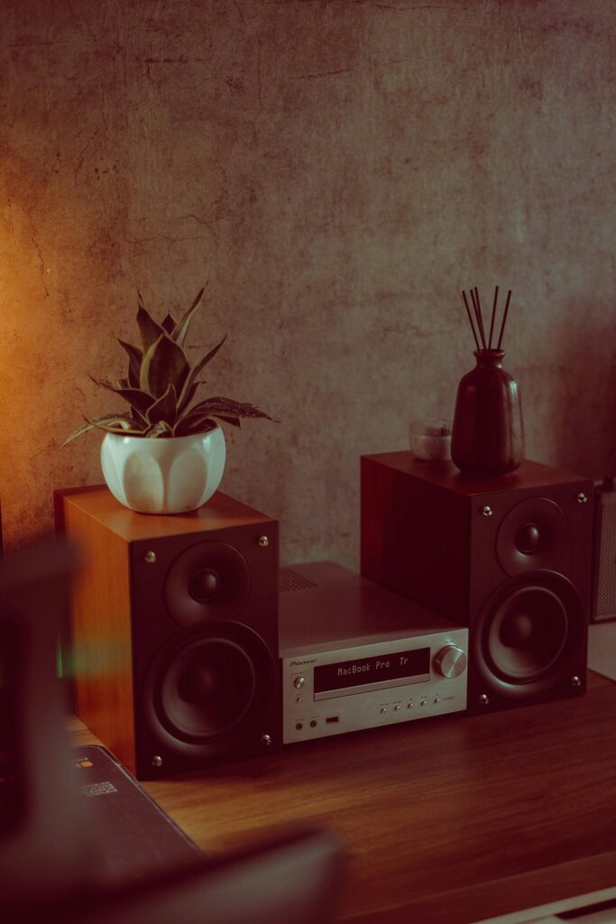 Vintage audio system with wooden speakers, potted plant, and decor on a wooden surface.